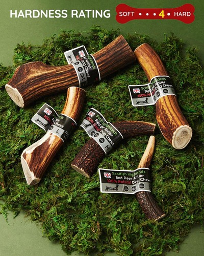 Deer antler dog chew - -, long