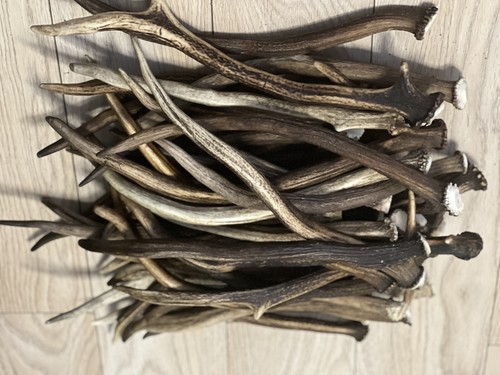 1kg deer antler - deer,