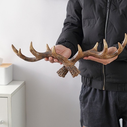Vintage deer antlers wall - antlers,