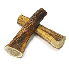 Whole Deer Antler Large