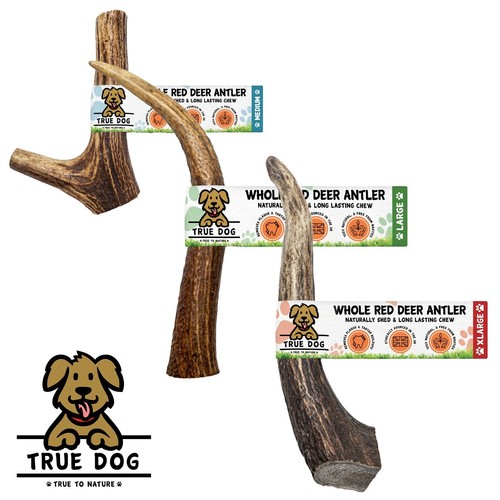 Whole wild antler - chews,