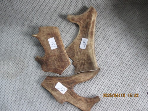 Fallow deer antler dog chews - antler,
