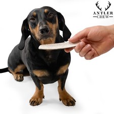 Split Deer Antler Dog Chew |