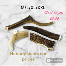 Scottish Antlers, Dog Chews