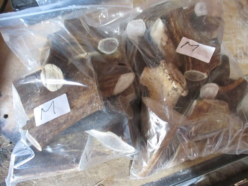 Deer antler chews for - 1,