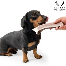 Split Deer Antler Chews For