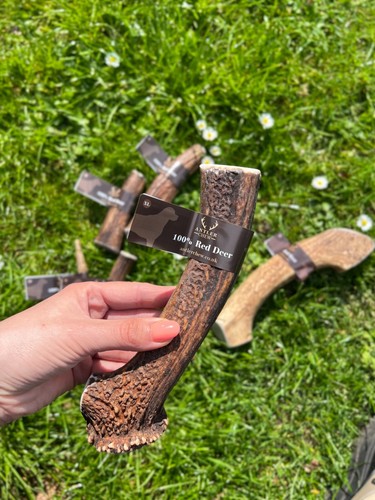 Antler chews for - chews, dogs-puppy