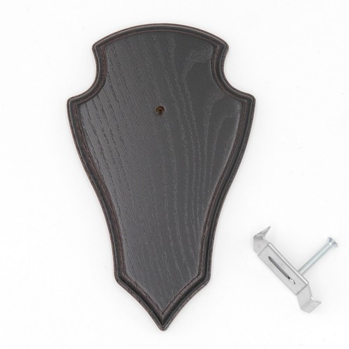 Trophy shield roe deer antler - deer,