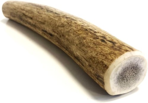 Antler dog chews extra large - antler,